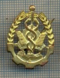 Y 1714 INSIGNA - MILITARA -SEMN DE ARMA - INTENDENTA -PENTRU COLECTIONARI