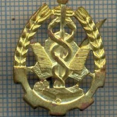 Y 1714 INSIGNA - MILITARA -SEMN DE ARMA - INTENDENTA -PENTRU COLECTIONARI