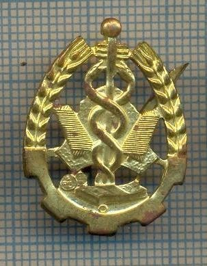 Y 1714 INSIGNA - MILITARA -SEMN DE ARMA - INTENDENTA -PENTRU COLECTIONARI foto