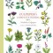 Culpeper&#039;s Complete Herbal: Illustrated and Annotated Edition