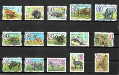SWAZILAND 1969 FAUNA ANIMALE SALBATICE foto