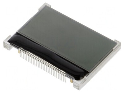 LCD Grafic 128x64 FSTN 2 Inch foto