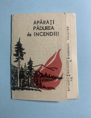 Calendar 1974 apărați pădurea de incendii foto