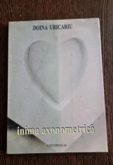Doina Uricariu - Inima Axonometrica foto