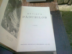 REVISTA PADURILOR DIN ANUL1936 foto