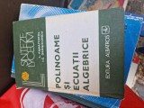 Polinoame și ecuatii algebrice vintage