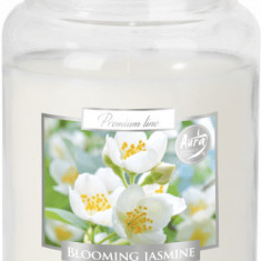 Lumanare parfumata bispol borcan premium line - blooming jasmine