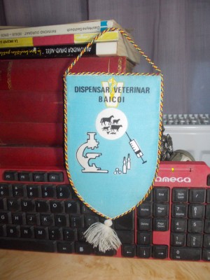 FANION DISPENSAR VETERINAR BAICOI , PERIOADA COMUNISTA foto