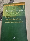 Biografia unui concept psihanalitic, identificarea proiectiva - Brindusa Orasanu