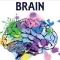 Getting To Know Your Child&#039;S Brain