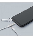 Cablu de date 2in1 iPad iPhone lightning 1m 2A argintiu delight