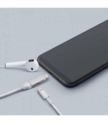 Cablu de date 2in1 iPad iPhone lightning 1m 2A argintiu delight foto