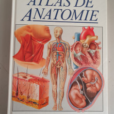 TREVOR WESTON - ATLAS DE ANATOMIE