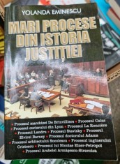 MARI PROCESE DIN ISTORIA JUSTITIEI - YOLANDA EMINESCU foto