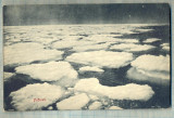AD 518 C. P. VECHE - PAFISEN - S.Y. ,,KONG HARALD&quot; - NORVEGIA