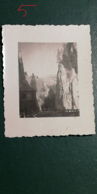 M5 C38 - FOTO - FOTOGRAFIE FOARTE VECHE - la munte - anul 1943 foto