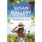 Boldogs&aacute;g &uacute;jrat&ouml;ltve - Susan Mallery