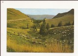 CA11 -Carte Postala- Muntii Bucegi , Valea Vanturis , necirculata