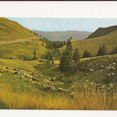 CA11 -Carte Postala- Muntii Bucegi , Valea Vanturis , necirculata