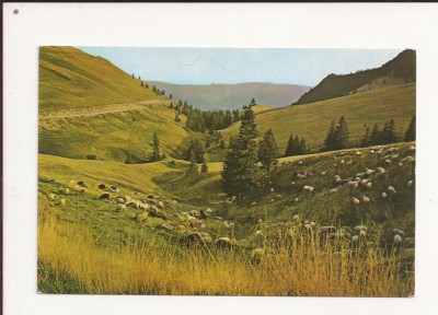 CA11 -Carte Postala- Muntii Bucegi , Valea Vanturis , necirculata foto