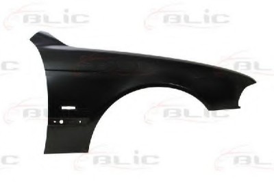 Aripa fata BMW Seria 5 Touring (E39) (1997 - 2004) BLIC 6504-04-0065312P foto