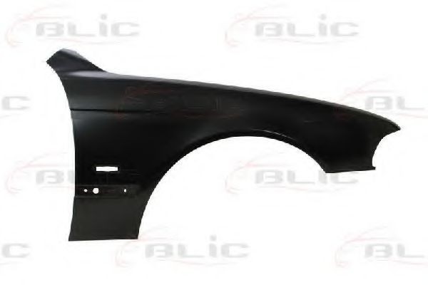 Aripa fata BMW Seria 5 Touring (E39) (1997 - 2004) BLIC 6504-04-0065312P
