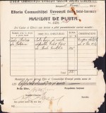 A1075 Mandat Eforia Comunității Evreiești Botoșani, 1924