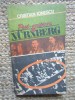 CRISTIAN IONESCU - POST SCRIPTUM LA NURNBERG