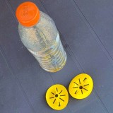 Cumpara ieftin Capcană pentru insecte de grădină Catchix