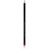 Anastasia Beverly Hills Lip Liner creion contur buze culoare Raisin 1,49 g