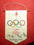 Fanion - 23 Iunie Ziua Mondiala Olimpica - la Sirnea Brasov 1991