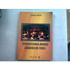 EFICIENTA ARDERII CARBUNILOR FOSILI - VALENTINA BALAN