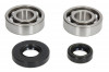 Crankshaft bearings set with gaskets fits: KTM SX 50 2004-2008