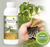 Kinactiv Root 40 ml biostimulator inradacinare cu aminoacizi si microelemente, radicular sistemic, Summit Agro, produs Bio/ ecologic, Sumi Agro