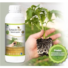 Kinactiv Root 40 ml biostimulator inradacinare cu aminoacizi si microelemente, radicular sistemic, Summit Agro, produs Bio/ ecologic