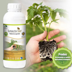 Kinactiv Root 1 L biostimulator inradacinare cu aminoacizi si microelemente, radicular sistemic, Summit Agro, produs Bio/ ecologic