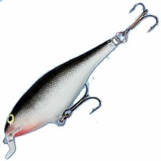 Vobler Rapala Shallow Shad Rap S foto