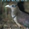 A Bird-Finding Guide to Panama