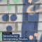 Introducing Interpreting Studies