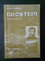 VASILE CANDREA - BROSTENI * MONOGRAFIE foto