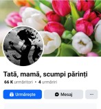 Pagina de facebook 66 k urmăritori