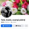 Pagina de facebook 66 k urmăritori