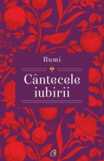 Cantecele iubirii - Rumi, Curtea Veche