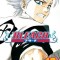Bleach, Volume 16
