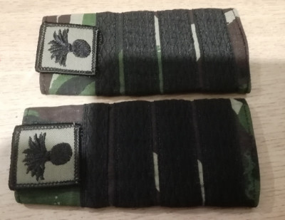 C3 - Grade militare - mozaic padure - plutonier adjutant principal infanterie foto