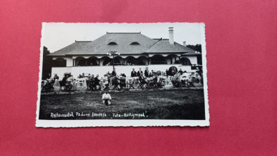 Bucuresti Restaurant Terasa Baneasa foto