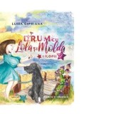 La drum cu Lola si Molda. Volumul II - Luiza Cipriana