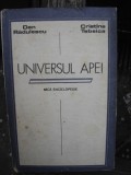 UNIVERSUL APEI - DAN RADULESCU