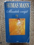 Thomas Mann - Muntele vrajit