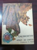 SF&Acirc;RȘIT DE CAPITOL - GALSWORTHY vol 2 - Pustietate in floare